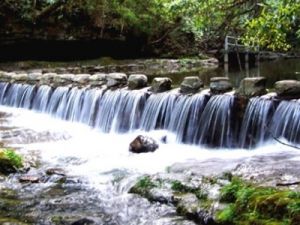 湖北後河自然保護區 湖北後河自然保護區