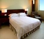 廣州鼎龍國際酒店 廣州鼎龍國際酒店