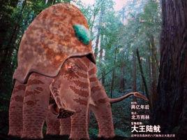 大王陸魷 大王陸魷