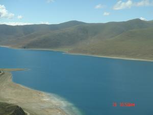 山寨愛情 山寨愛情