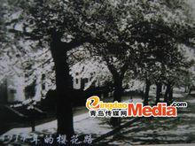 中山公園[山東省青島市中山公園]