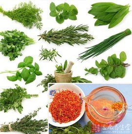 小承氣湯 小承氣湯