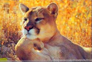 嫂溺,援之以手 嫂溺,援之以手