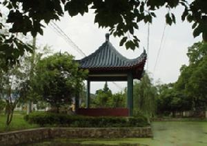香山村[香山村]