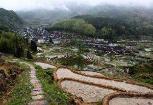 月山古道 月山古道