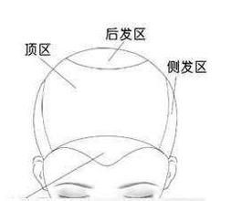 髮型理論 髮型理論