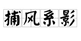捕風系影