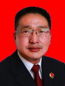 田凱[國家檢察官學院河南分院黨委書記]