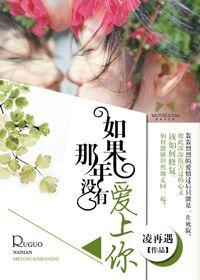 如果那年沒有愛上你 如果那年沒有愛上你