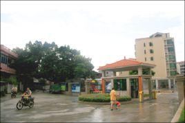 大敦村[廣東省大敦村]