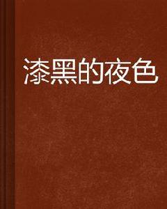 漆黑的夜色 漆黑的夜色