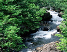 藍天牧場風景區