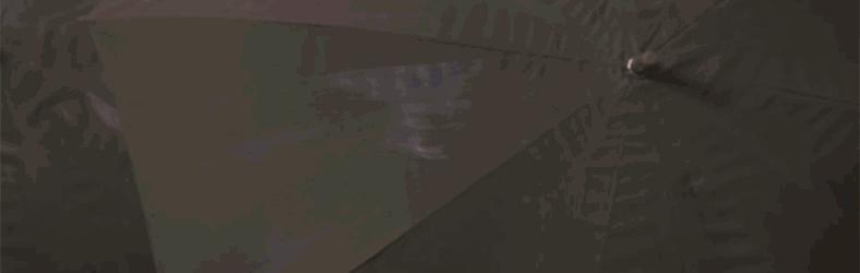 Dust My Shoulders Off