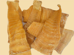 龍巖山國家森林公園