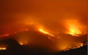 雲南麗江2·28森林大火 雲南麗江2·28森林大火