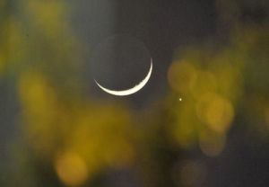 這是5月16日在廣西南寧透過樹影拍攝的天象“金星合月”。