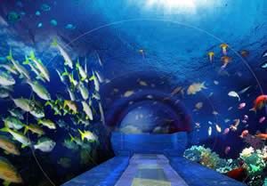 東湖海洋世界 東湖海洋世界