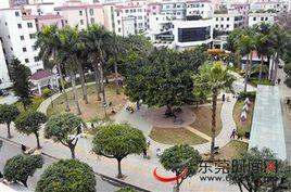 金洲社區[廣東東莞市虎門鎮下轄社區]