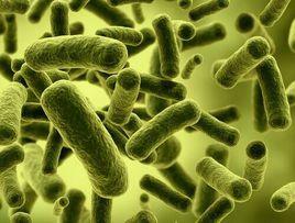 微生物代謝組學