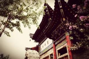 定慧淨寺 定慧淨寺