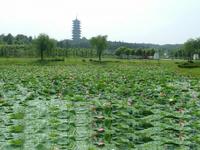 龍背山森林公園[宜興城]