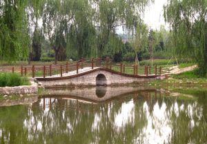 樹村郊野公園小橋