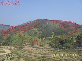 高坑村[福建省泉州晉江市陳埭鎮下轄村]