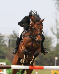 馬術個人場地障礙賽 馬術個人場地障礙賽