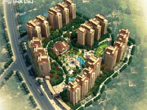 水仙都市 水仙都市