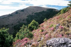 內嶺爾山 內嶺爾山