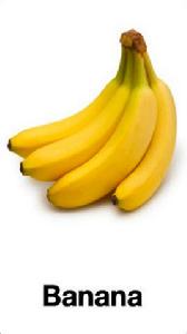 兒童識物卡片 兒童識物卡片