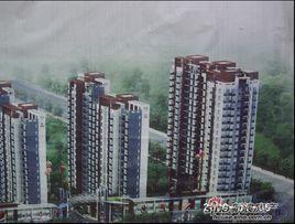 觀嶼國際 觀嶼國際