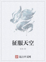 征服天空 征服天空