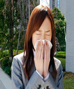 傳染性鼻炎 傳染性鼻炎