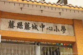 藤縣中心國小 藤縣中心國小