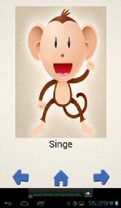 聲音的動物 聲音的動物