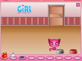 我的小貓咪 我的小貓咪