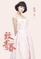 致青春[2016年楊文軍執導電視劇]