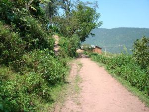 莽廠自然村 莽廠自然村