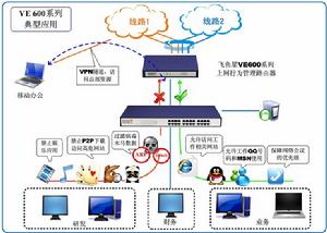飛魚星VE602典型套用