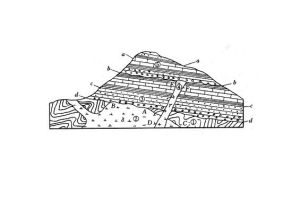 垣曲運動 垣曲運動