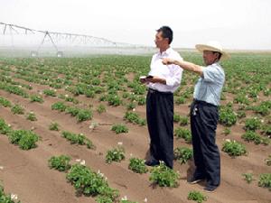 古爾班通古特沙漠