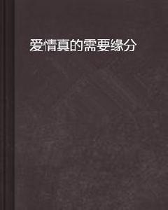 愛情真的需要緣分 愛情真的需要緣分