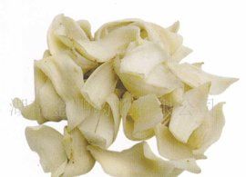 龍牙百合 龍牙百合