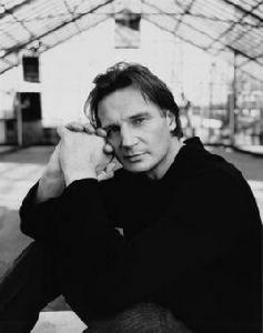 連姆·尼爾森 連姆·尼爾森