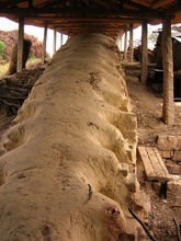 陶都宜興保存下來的明代龍窯遺址