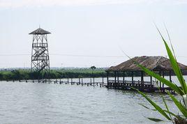 鬥龍莊園 鬥龍莊園
