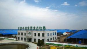 牛奶集團 牛奶集團