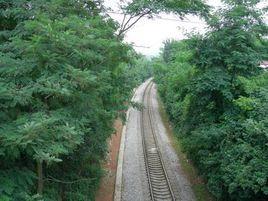 雲龍村[浙江省寧波市鄞州區雲龍鎮下轄村]