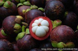 可溶性固形物 可溶性固形物